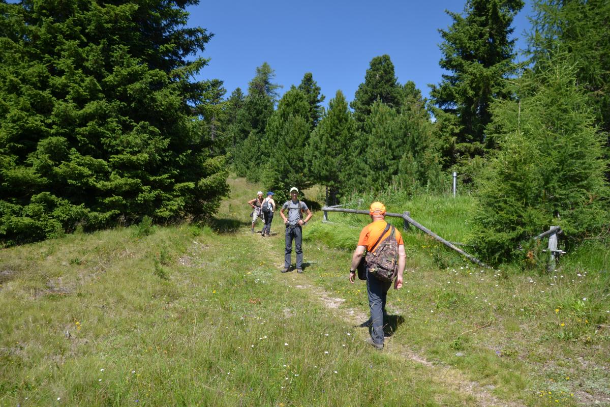 Latschenoelbrennerei und Platzer Alm 23.07.2019